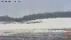 area3-20250518095050.jpg