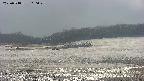 area3-20250518160049.jpg