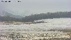 area3-20250518170048.jpg