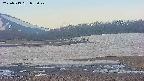 area3-20250519053048.jpg