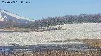 area3-20250519065049.jpg