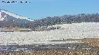 area3-20250519075052.jpg