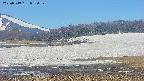 area3-20250519083051.jpg