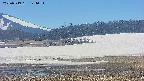 area3-20250519124052.jpg