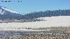 area3-20250519132052.jpg