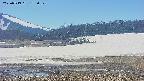 area3-20250519133051.jpg
