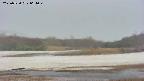 area3-20250520064049.jpg