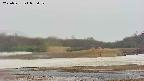 area3-20250521095051.jpg
