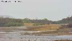 area3-20250525050049.jpg