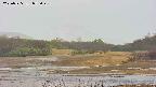 area3-20250525055049.jpg