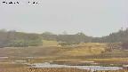 area3-20250525113050.jpg