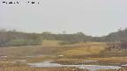 area3-20250525114050.jpg