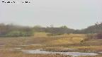 area3-20250525121050.jpg