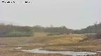 area3-20250525131047.jpg