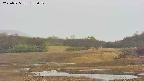 area3-20250525133051.jpg