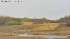 area3-20250525142050.jpg