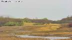 area3-20250525145050.jpg