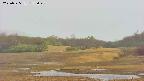 area3-20250525155049.jpg