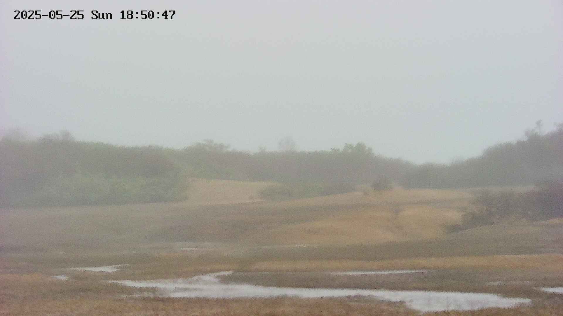 area3-20250525185048.jpg