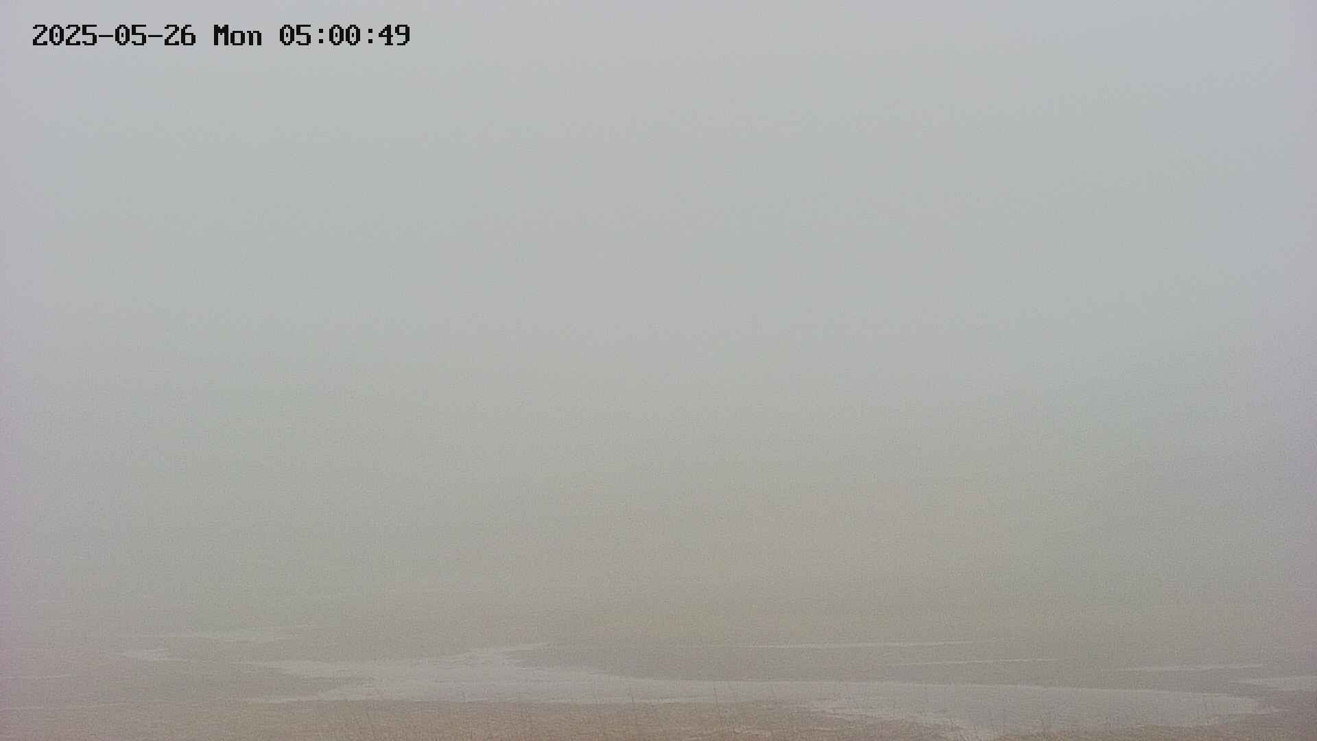 area3-20250526050049.jpg