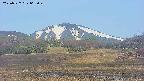 area3-20250527062049.jpg