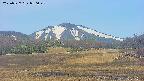 area3-20250527080049.jpg