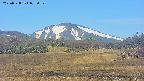 area3-20250528073051.jpg