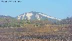 area3-20250529054050.jpg
