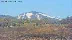 area3-20250529055048.jpg