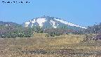 area3-20250529075047.jpg