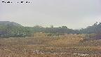 area3-20250531063048.jpg