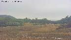 area3-20250531064048.jpg