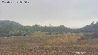 area3-20250531070047.jpg