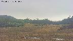 area3-20250531071050.jpg