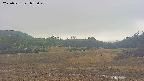 area3-20250531072050.jpg