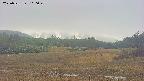 area3-20250531100050.jpg