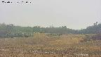 area3-20250531103053.jpg