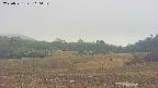 area3-20250531110050.jpg