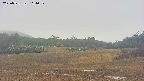 area3-20250531111050.jpg