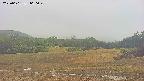 area3-20250601060049.jpg
