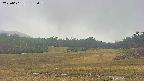 area3-20250601133049.jpg