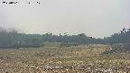 area3-20250601142050.jpg