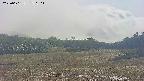 area3-20250601150050.jpg