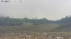 area3-20250601152049.jpg