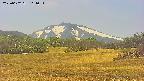 area3-20250602111052.jpg