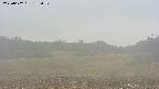 area3-20250602182051.jpg