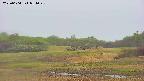area3-20250604051050.jpg