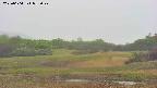 area3-20250604052049.jpg