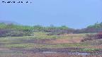 area3-20250604053051.jpg