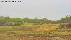 area3-20250604054046.jpg